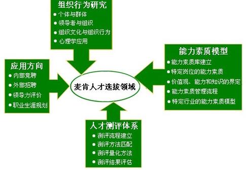 麦肯企业管理咨询 赋能企业高质量发展的专业力量