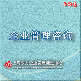 驱动企业增长的管理咨询新范式 云动惠的实践智慧