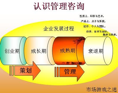 医疗行业企业管理顾问操作实务 从诊断到价值交付的全流程指南